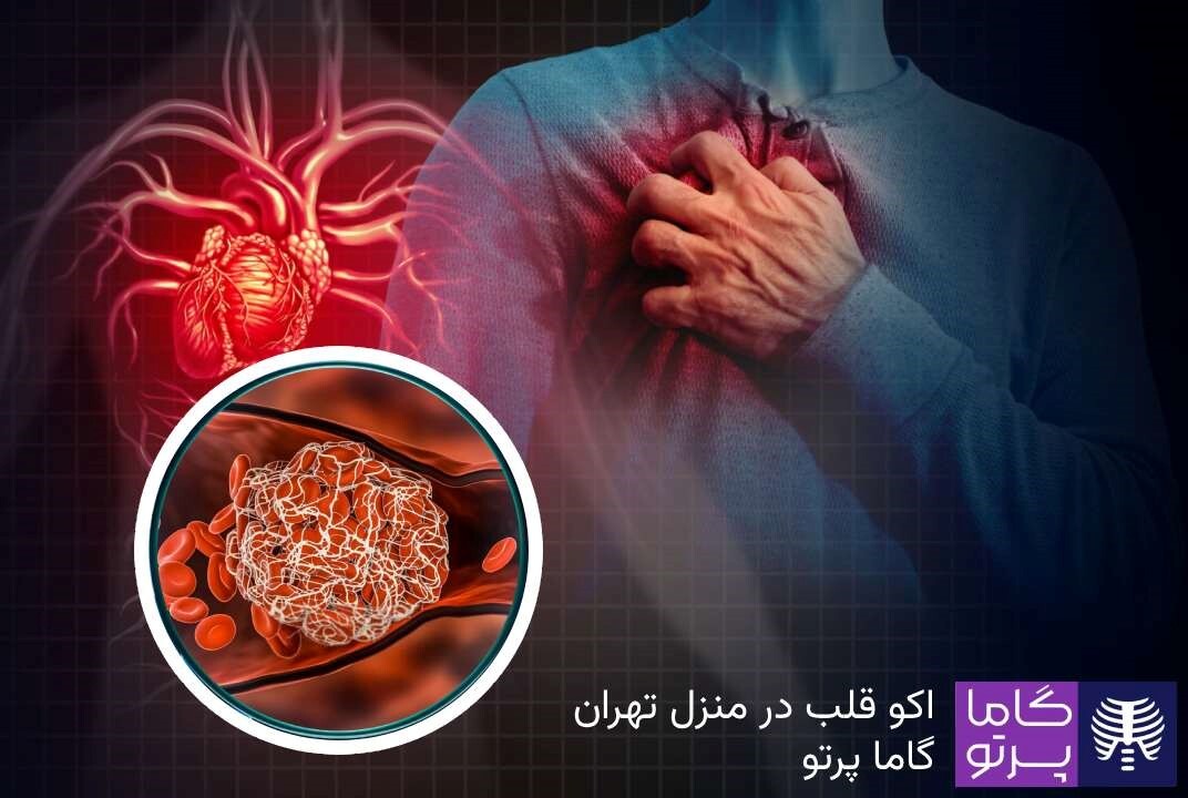 چربی‌های خوب، سپر نامرئی قلب شما (طبق راهنمای هاروارد)