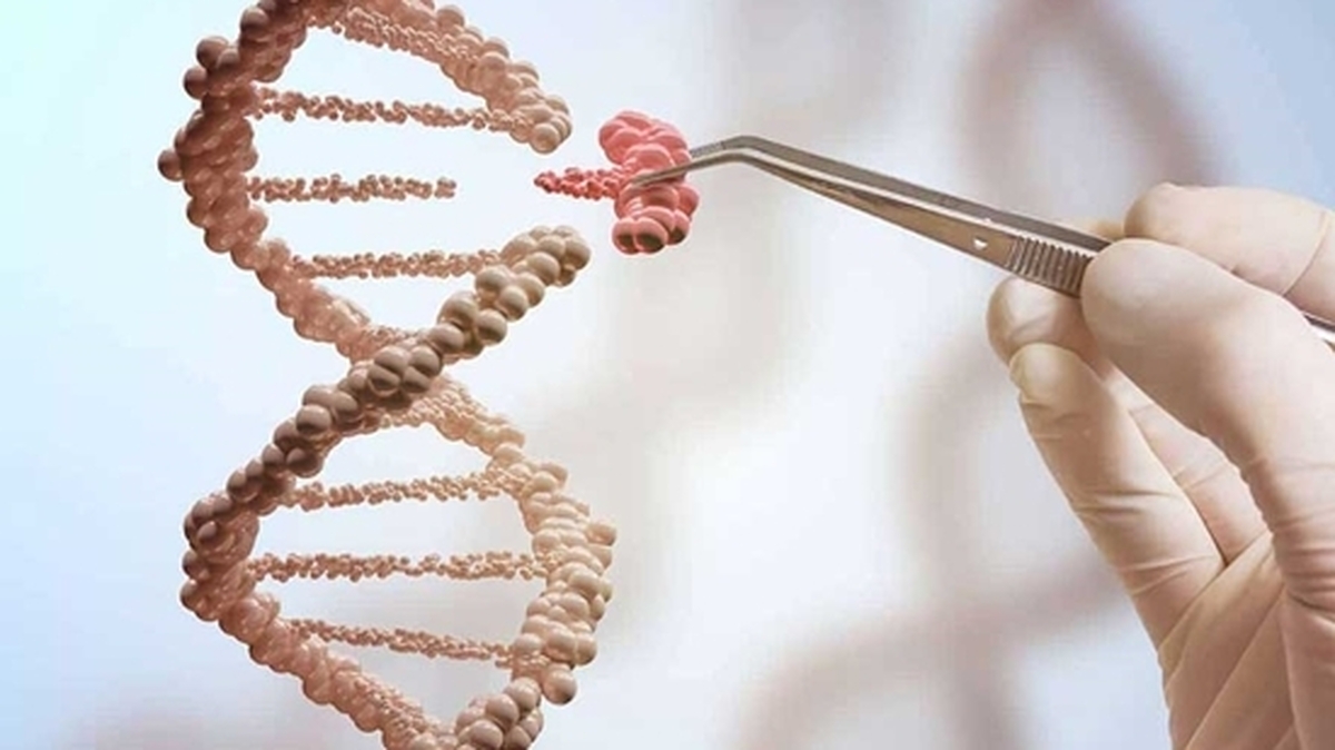 کنترل و ایمنی محصولات تراریخته با نظارت سختگیرانه سازمان غذا و دارو