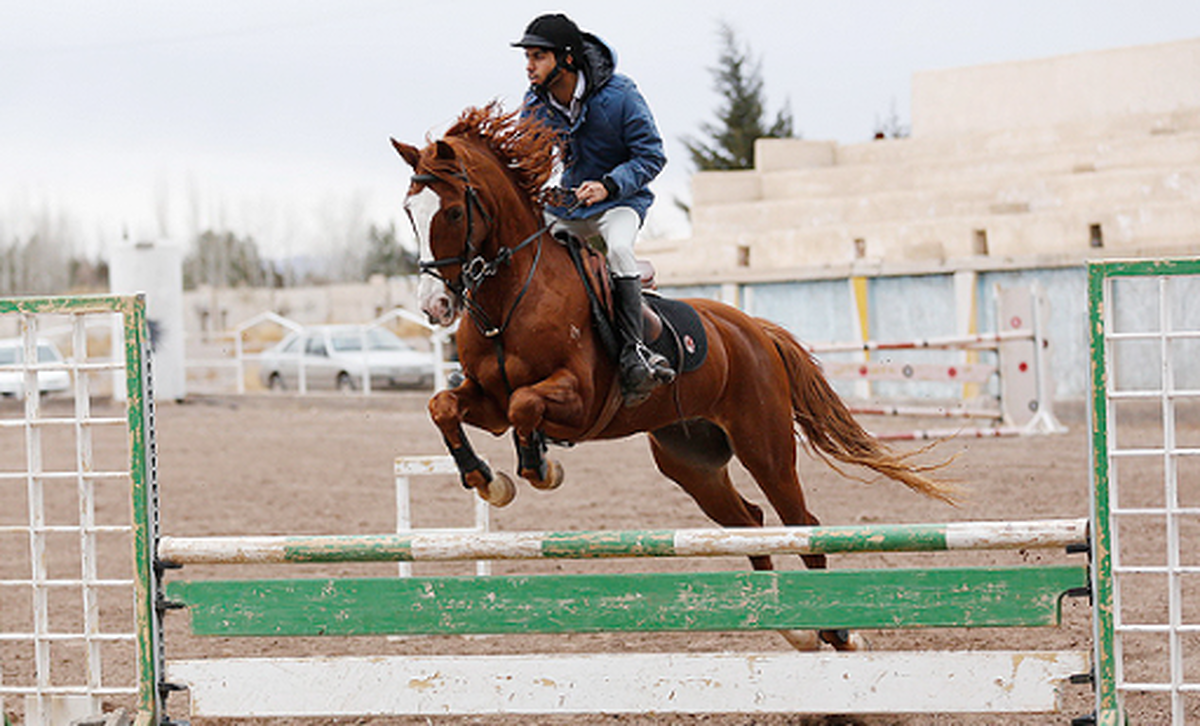 مسابقات سوارکاری پرش با اسب فردا در قزوین برگزار می شود