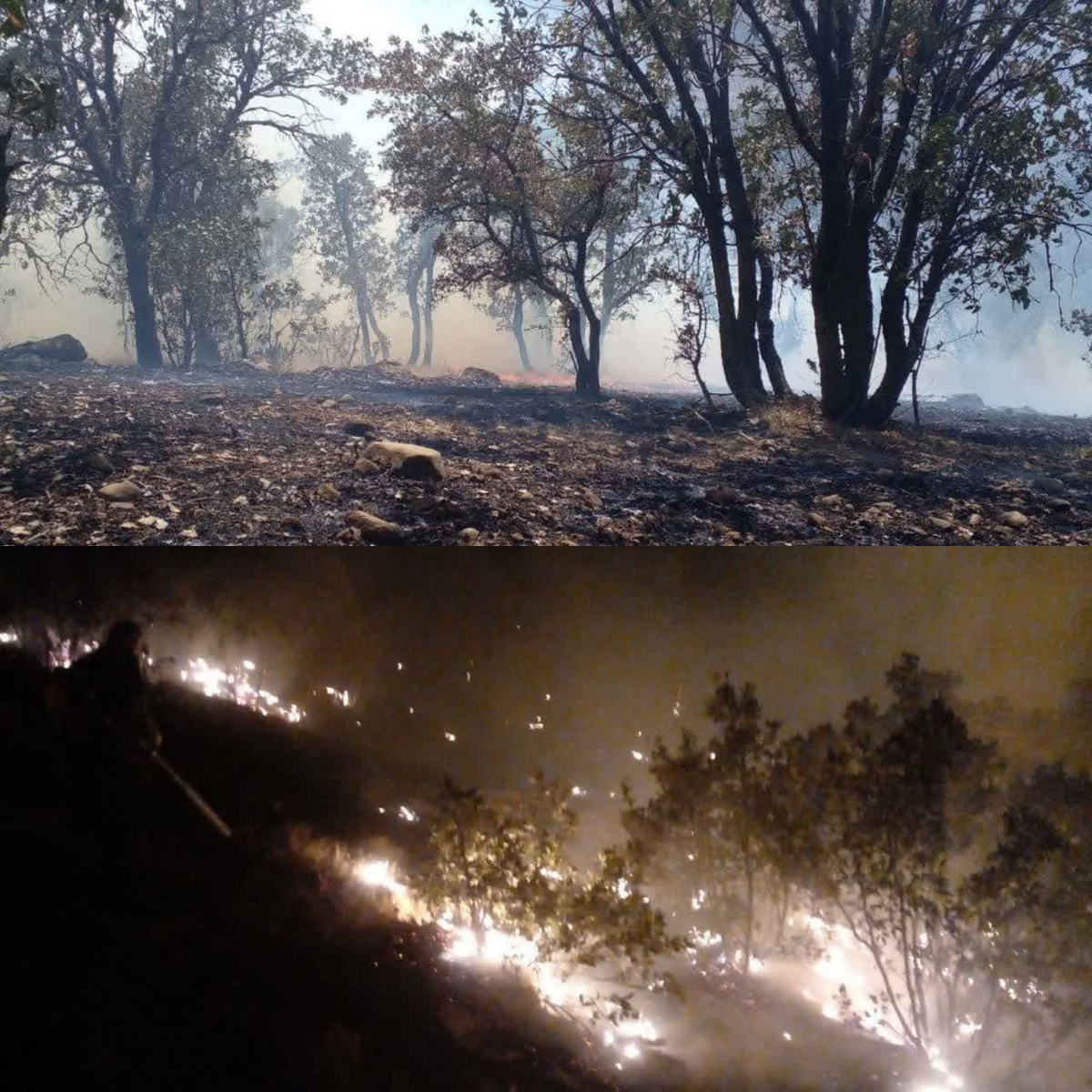 آتش سوزی منطقه حفاظت شده اشترانکوه مهار شد