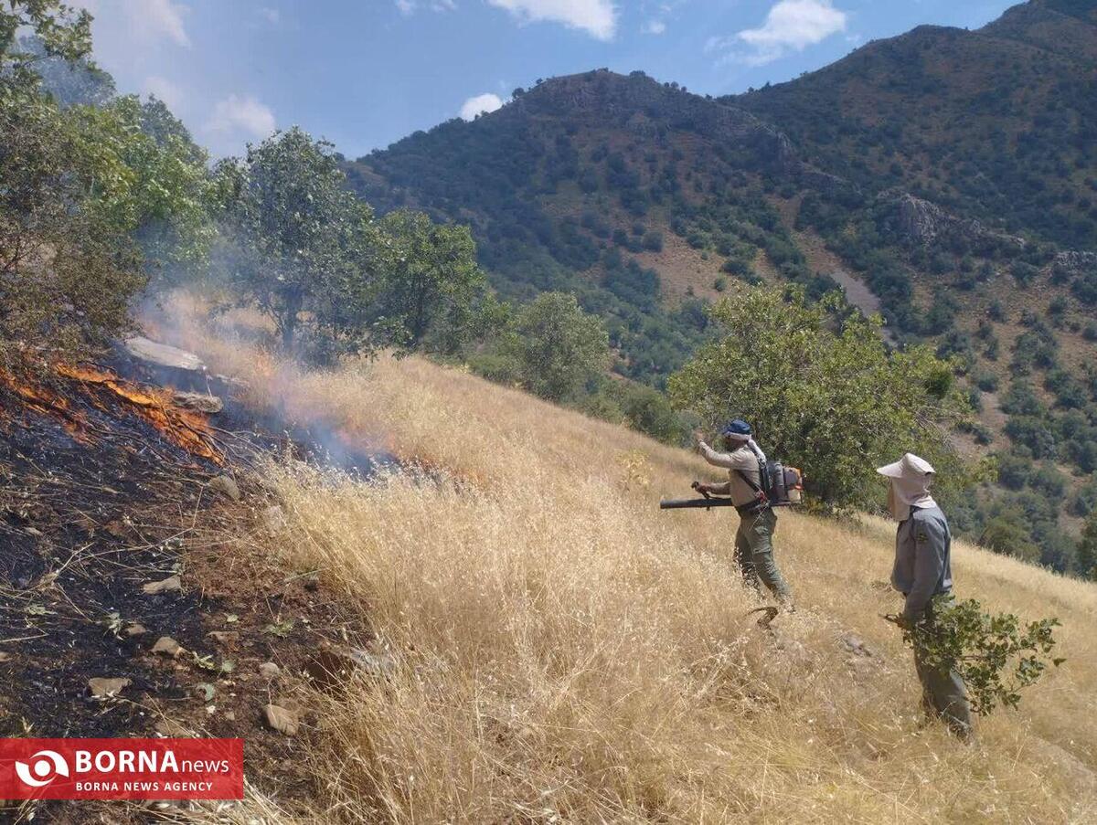 آتش سوزی منطقه حفاظت شده بیستون مهار شد