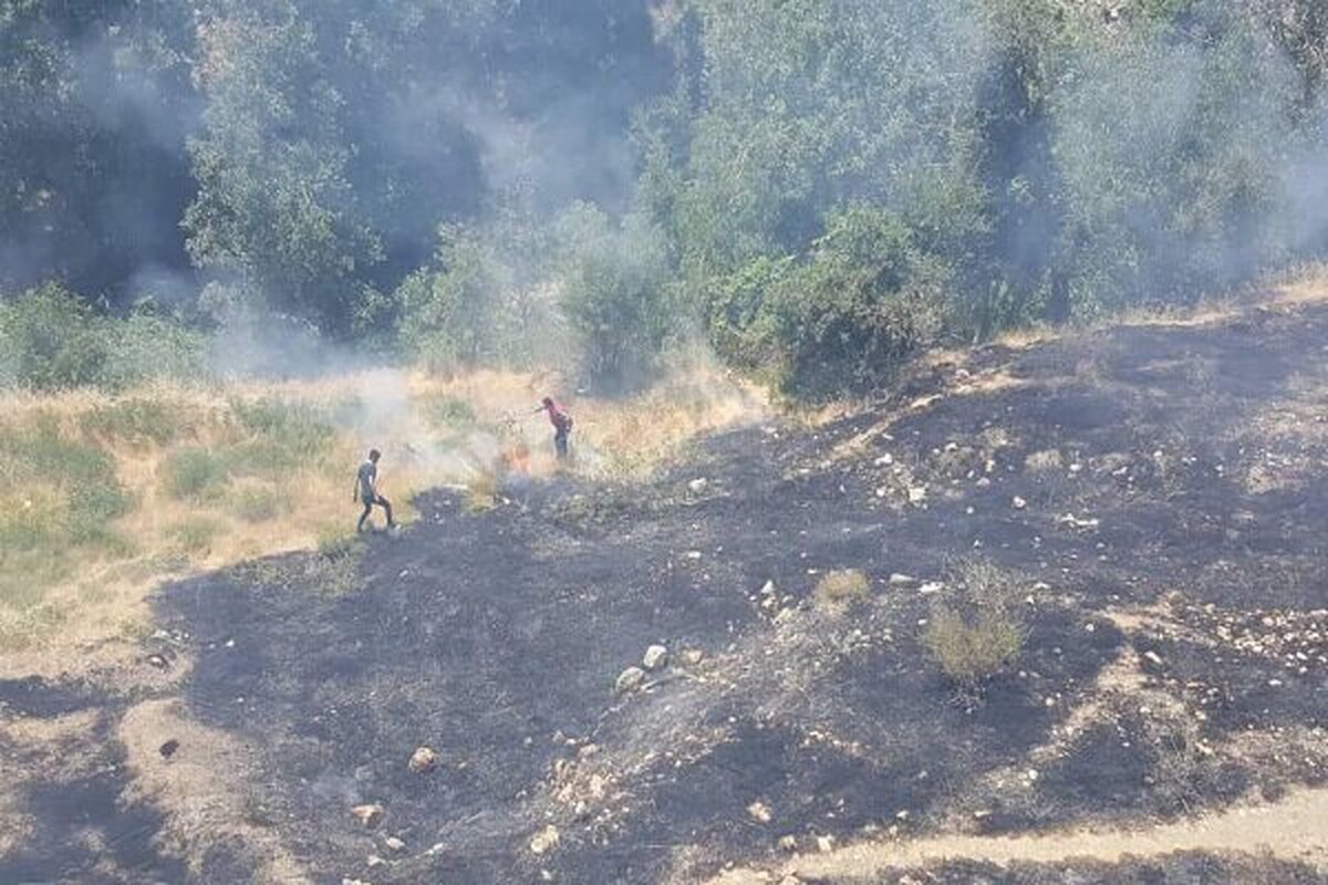 آتش در مراتع وجنگل های منطقه طارم استان قزوین مهار شد