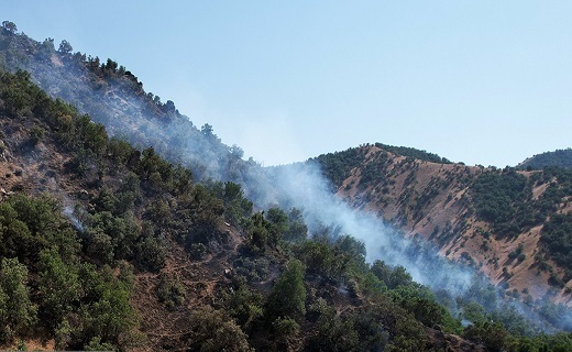 آتش در مراتع وجنگل های منطقه طارم استان قزوین مهار شد آتش در مراتع وجنگل های منطقه طارم استان قزوین مهار شد