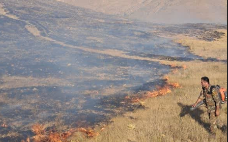 آتش در مراتع وجنگل های منطقه طارم استان قزوین مهار شد آتش در مراتع وجنگل های منطقه طارم استان قزوین مهار شد