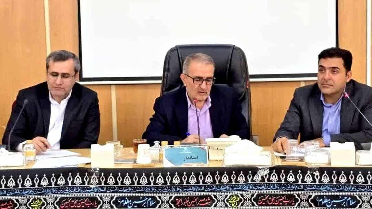 استاندار:پیشرفت طرح نهضت ملی مسکن استان امیدوار کننده است