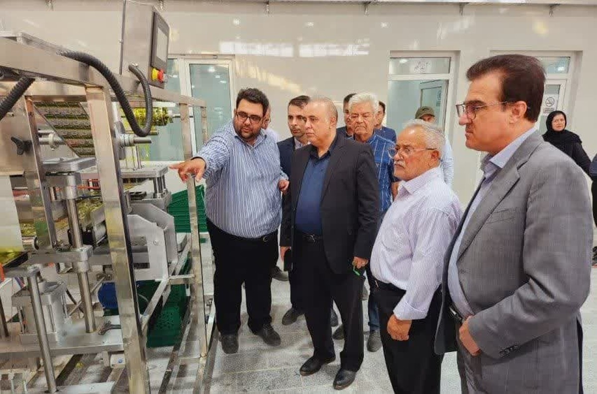 توجه ویژه به نواحی صنعتی و کم‌برخوردار در استان قزوین