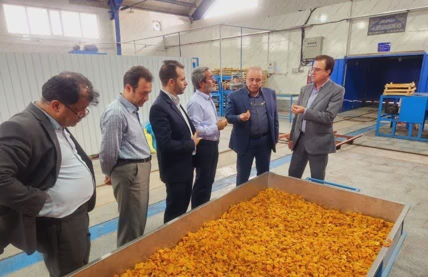 توجه ویژه به نواحی صنعتی و کم‌برخوردار در استان قزوین