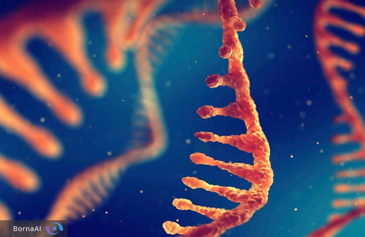 راز انتخاب ریبوز برای RNA فاش شد!