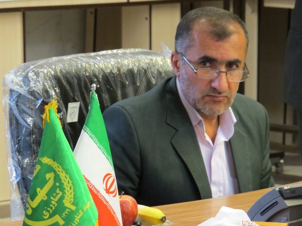 تحلیل واقعبینانه از مصرف آب، صادرات و سیاستهای کشت هندوانه در ایران تحلیل واقعبینانه از مصرف آب، صادرات و سیاستهای کشت هندوانه در ایران