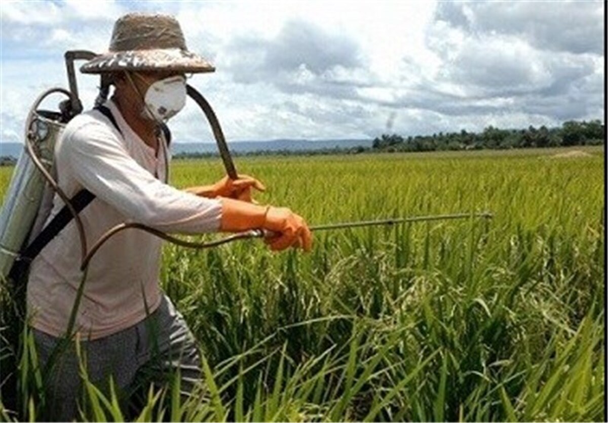 آغاز ثبت سفارش سموم آفات نباتی برای سال زراعی جدید از روزهای آینده