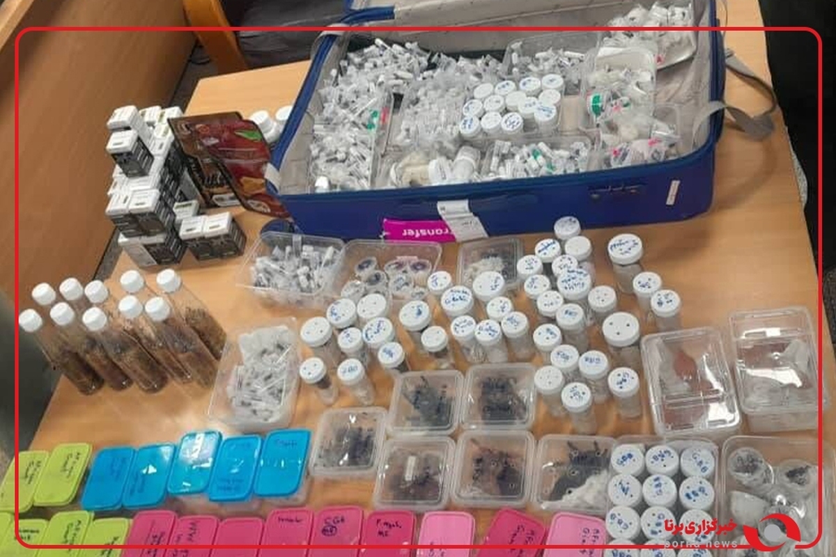 کشف محموله خزندگان قاچاق