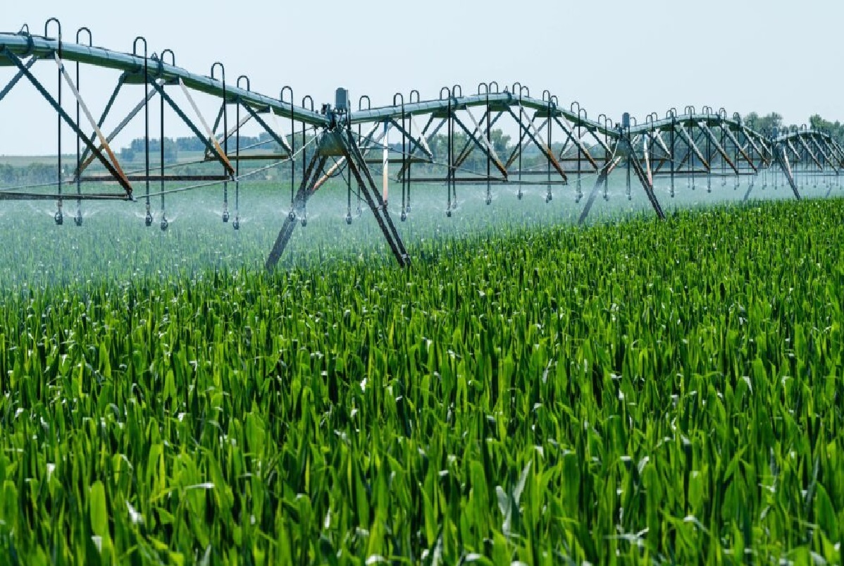 افزایش اختیارات استانداران گره گشاست و به حل بسیاری از مسائل کمک می کند افزایش اختیارات استانداران گره گشاست و به حل بسیاری از مسائل کمک می کند