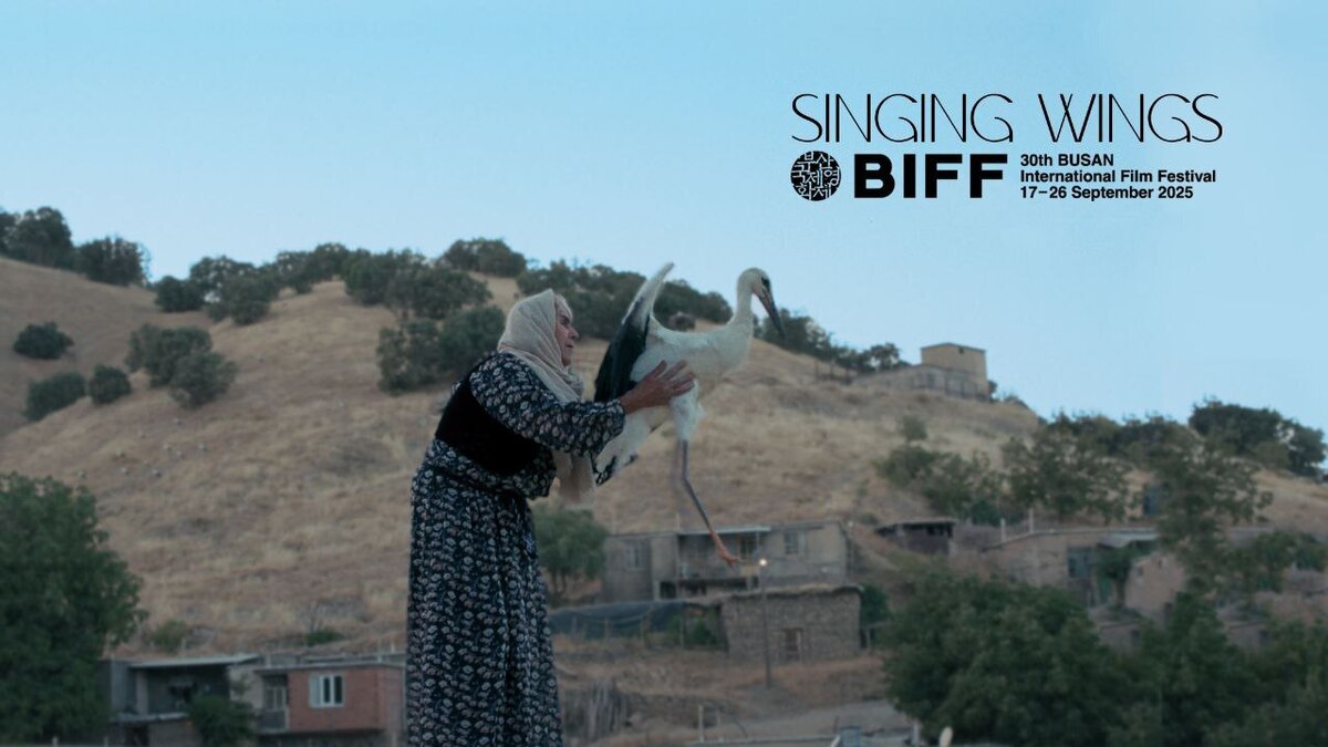 راه‌یابی مستند «بال‌های آوازخوان» به جشنواره بوسان