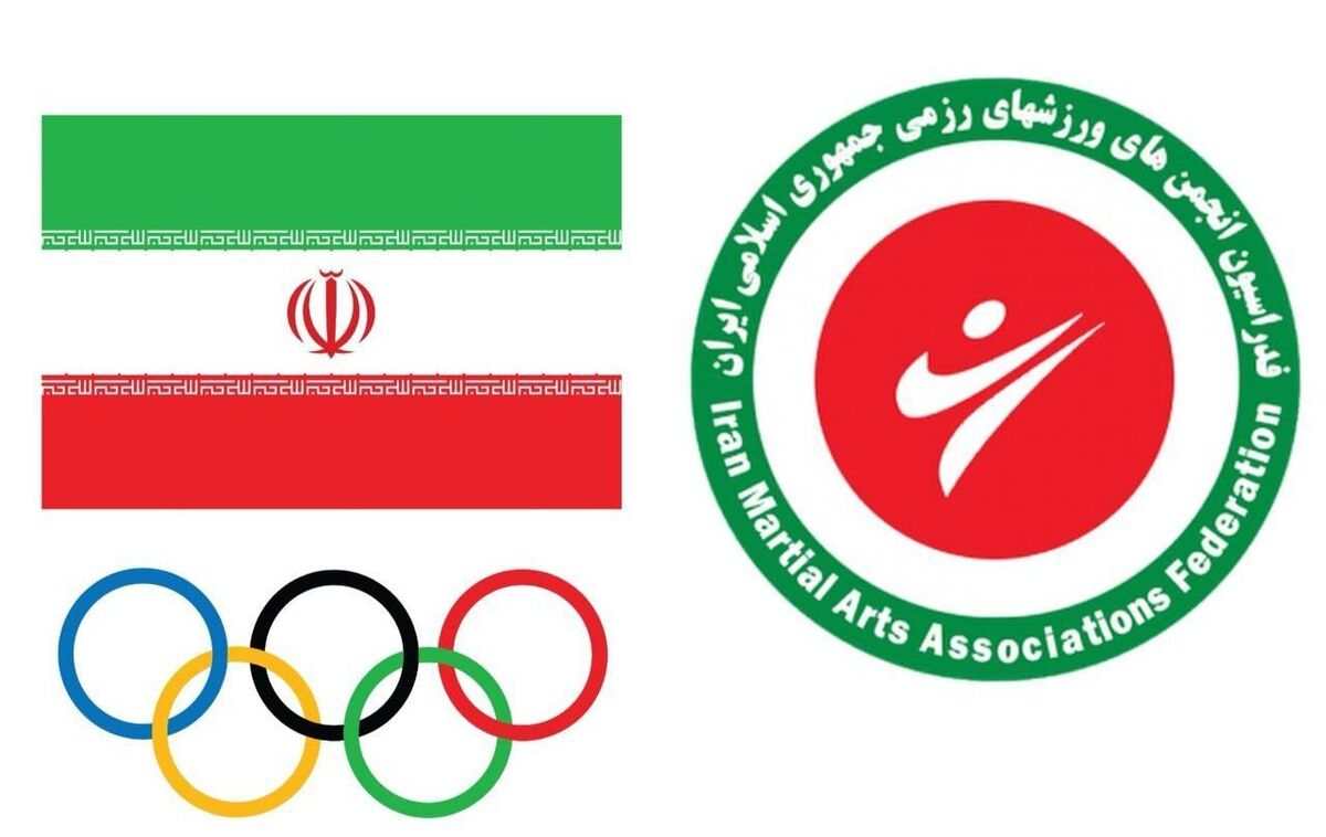 عضویت فدراسیون انجمن‌های ورزش‌های در مجمع کمیته ملی المپیک