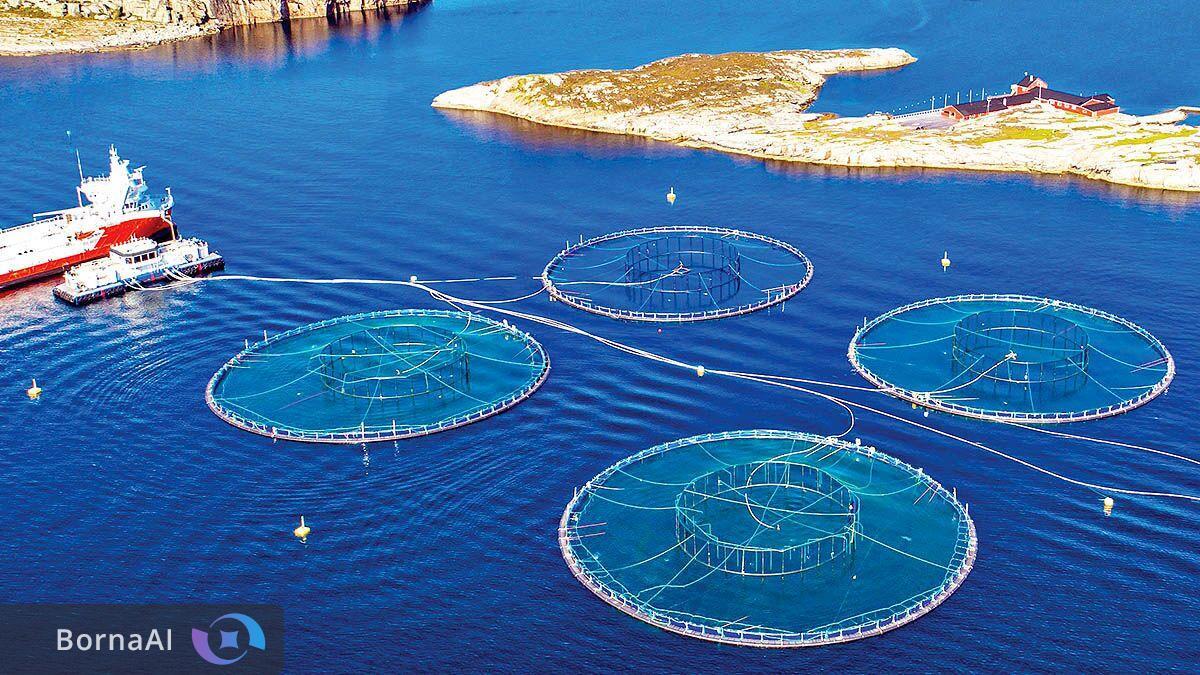 غشا‌های کربنی راهکار نوین برای تصفیه پساب‌های آبزی‌پروری