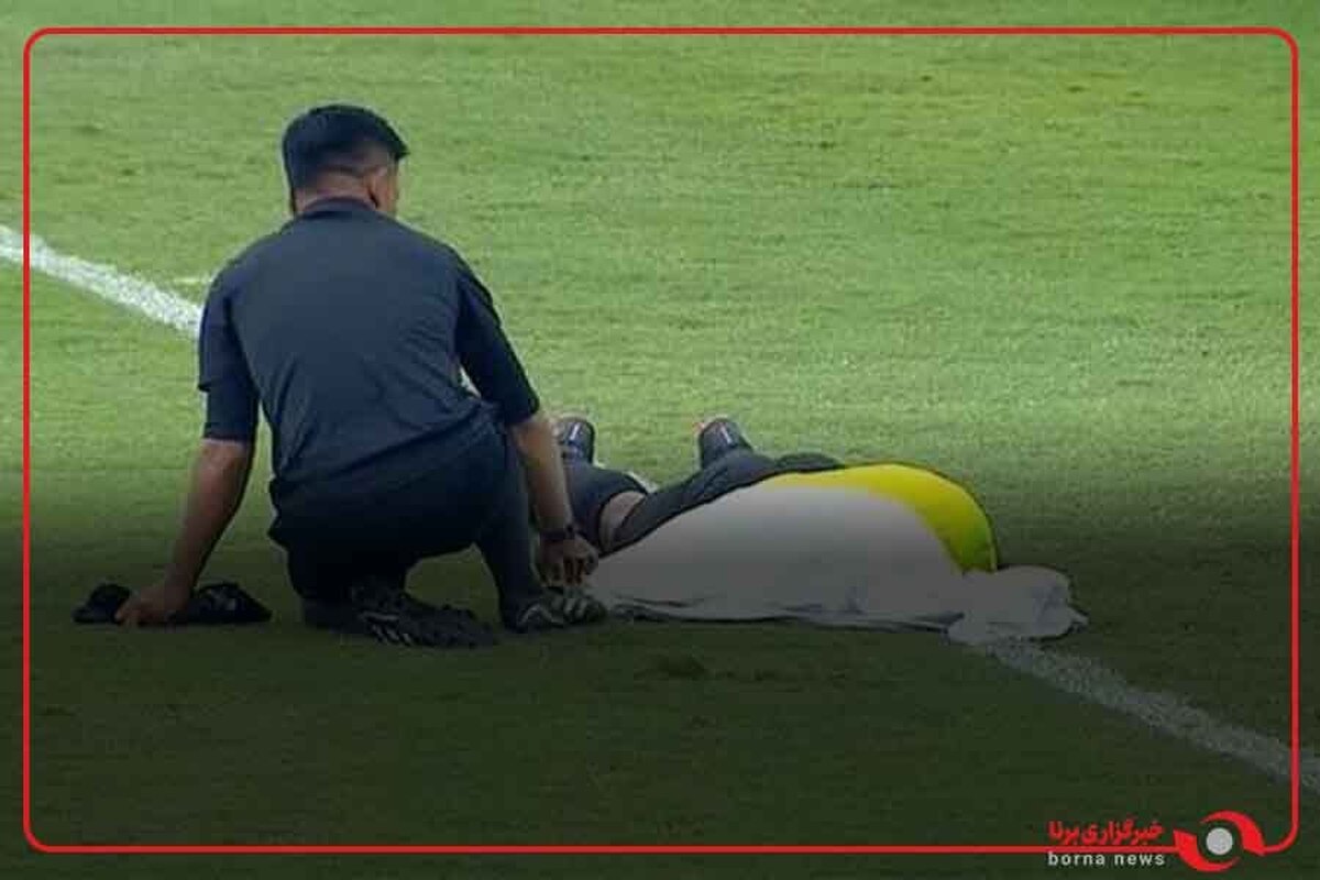 زنبورها بازی فوتبال را در تانزانیا متوقف کردند