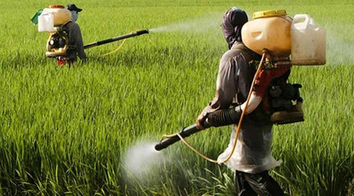 قرنطینه گیاهی خط مقدم حفاظت از امنیت غذایی است