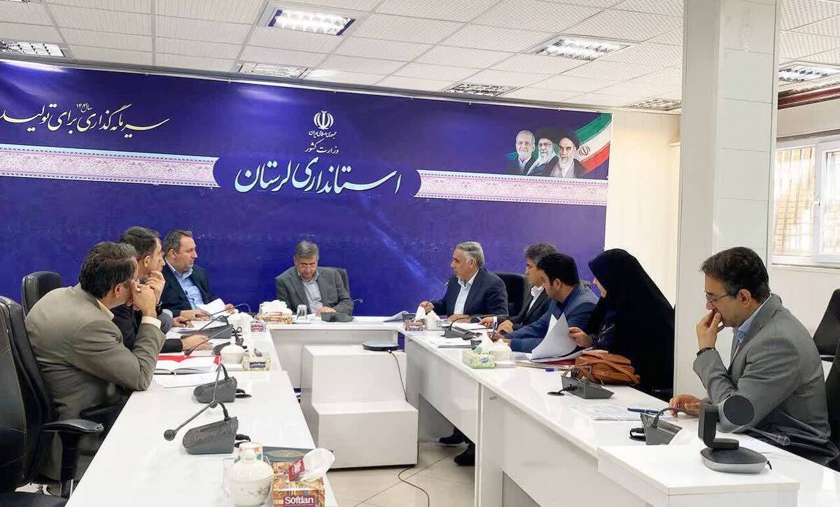 استاندار لرستان خبر داد : شناسایی ۱۷۸ ملک برای اجرای مولدسازی