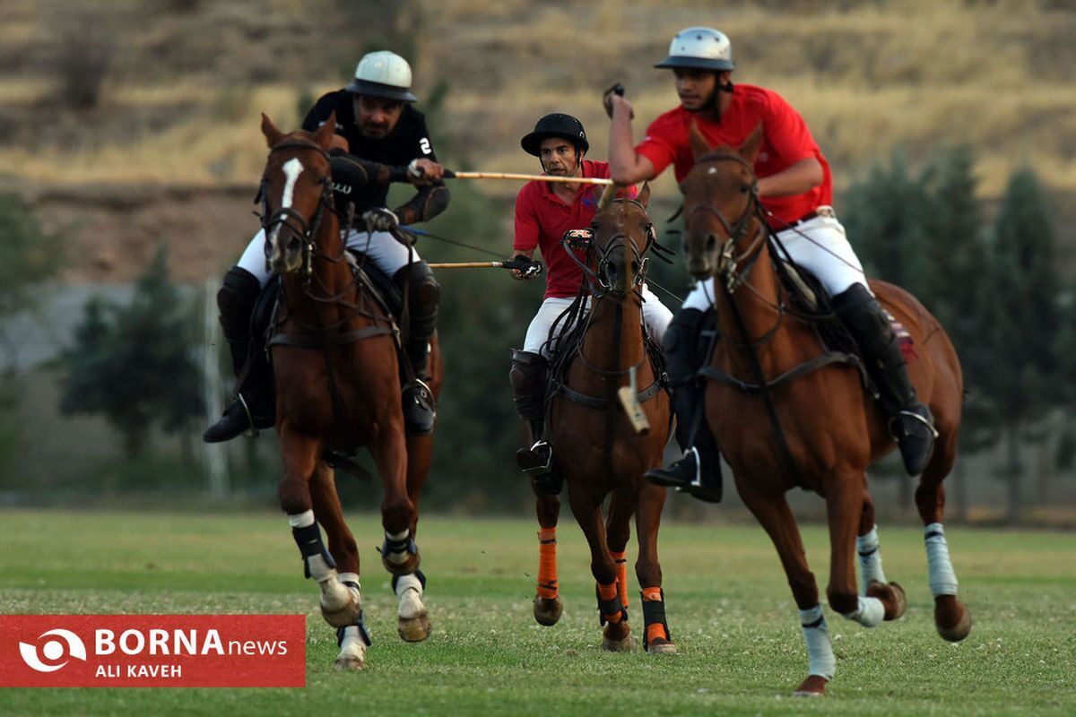 قول مساعد وزیر آموزش و پرورش به یک فدراسیون/ محتوای چوگان به کتب درسی اضافه می‌شود