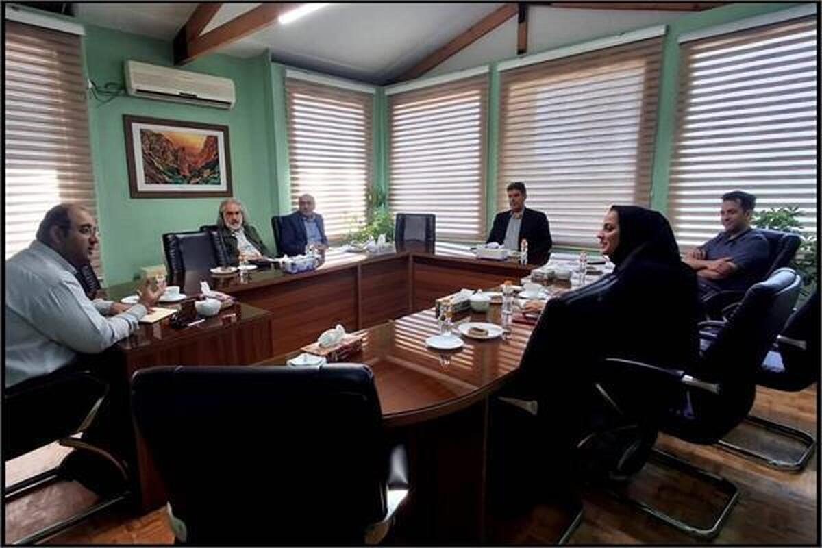 تبیین برنامه‌های مشترک معاونت امور هنری و بنیاد ملی پویانمایی در حوزه کودک و نوجوان