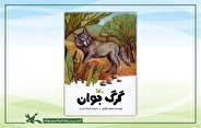 «گرگ جوان» محمود بَرآبادی منتشر شد