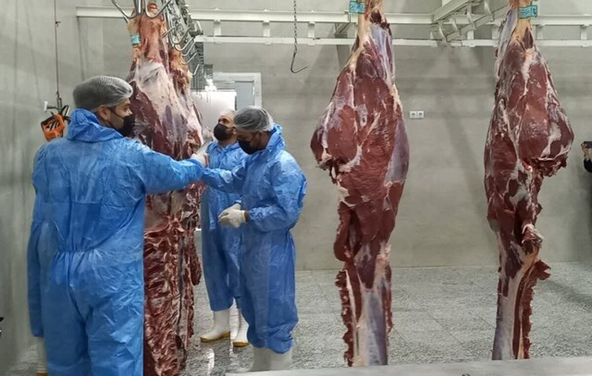 محکومیت یک میلیارد ریالی سزای تقلب در کشتار مرغ همدان