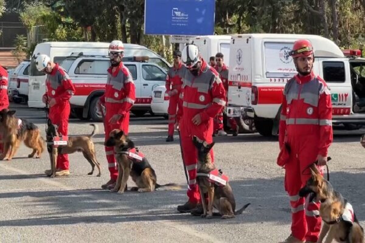 برگزاری رزمایش سگ‌های جستجوی هلال‌احمر در توچال