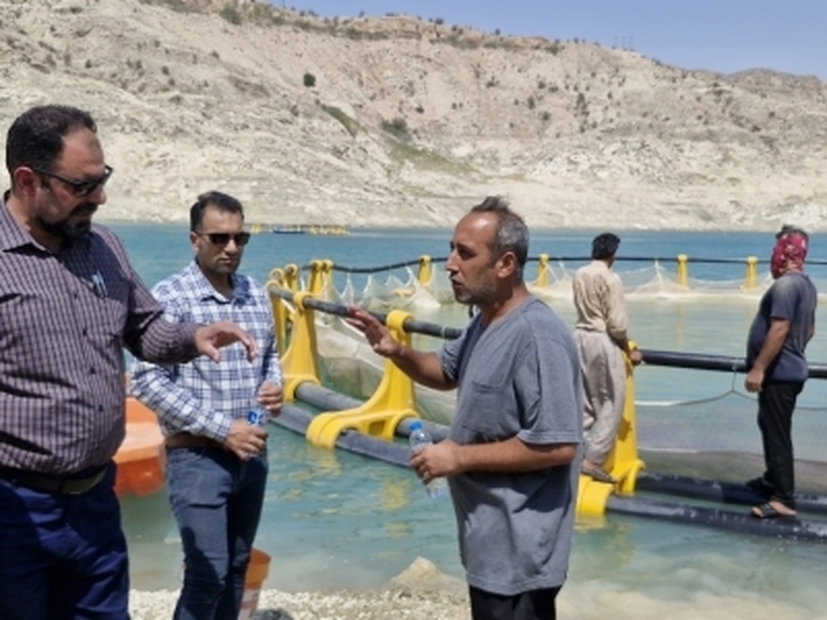 آغاز ذخیره‌سازی بچه‌ماهیان کپور در قفس‌های دریاچه سد مارون