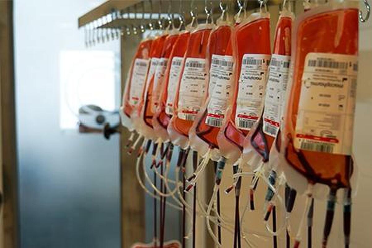 درخواست اهدای خون از مردم در روز‌های پایانی تابستان