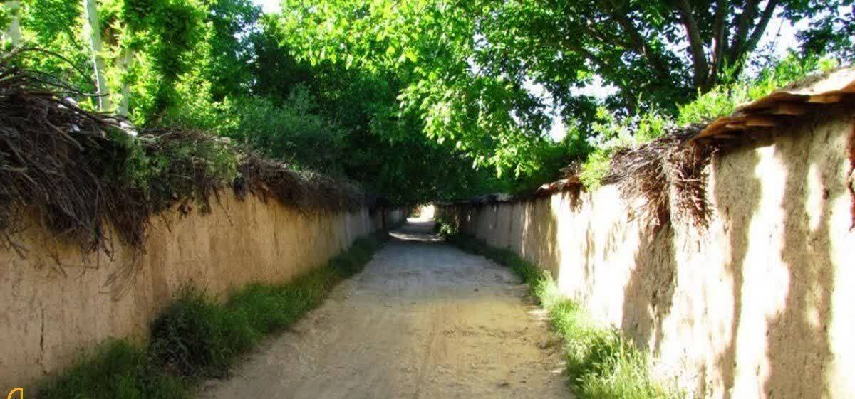 طراوت دوباره با آبیاری به موقع ناحیه ویژه باغات به درختان باز می‌گردد.