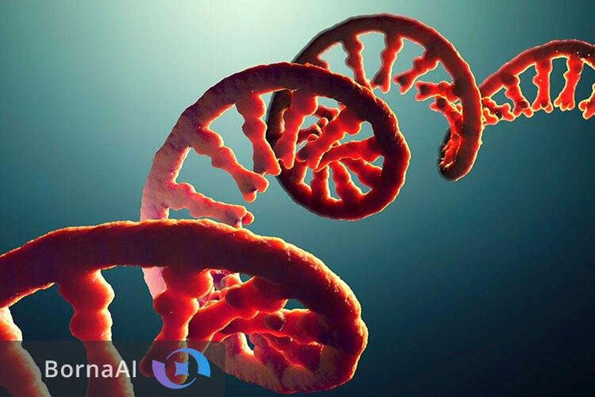 فناوری RNA چرخه تکثیر فاژها را متوقف کرد