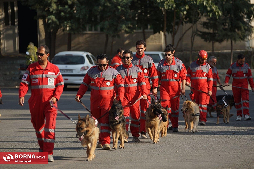 مانور سگ‌های زنده‌یاب هلال احمر