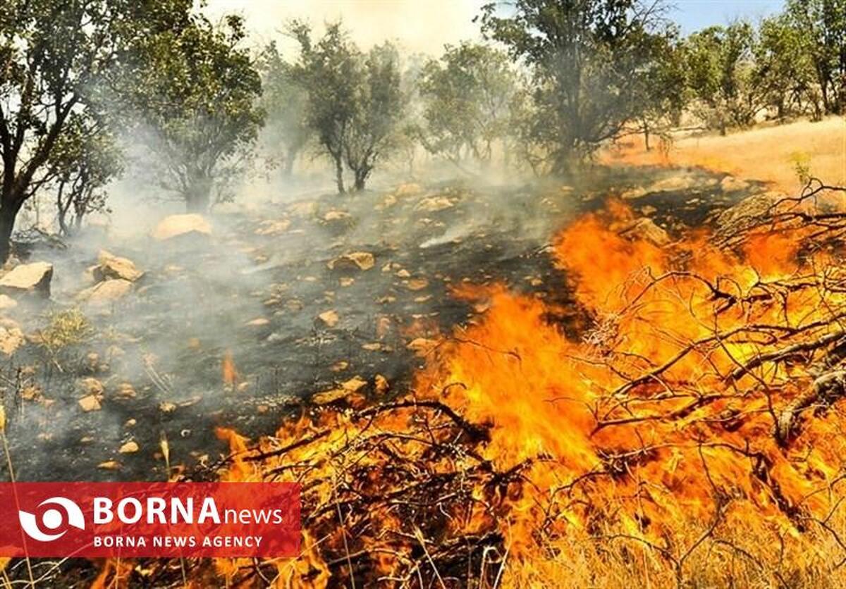مهار آتش‌سوزی در پناهگاه حیات‌وحش بیستون با تلاش محیط‌بانان و مردم محلی