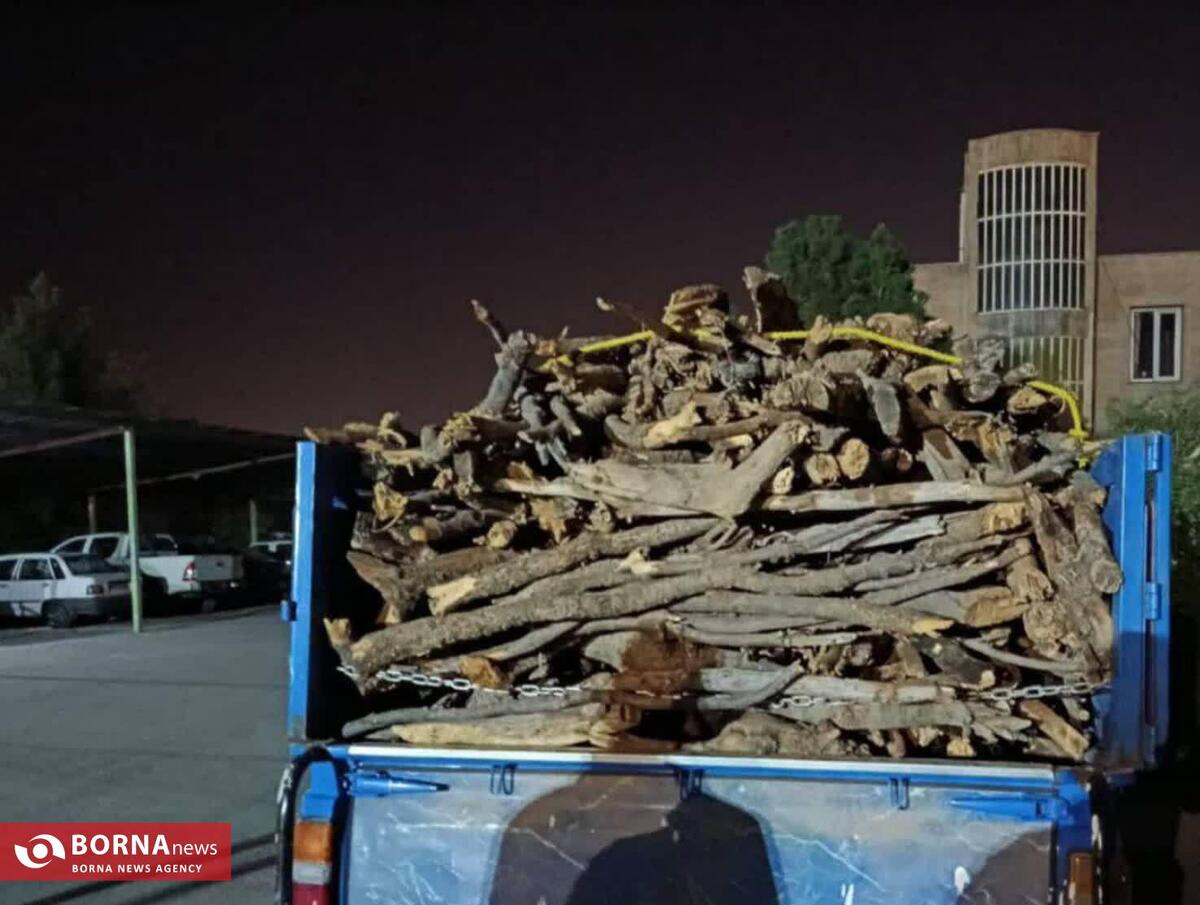 محموله حامل چوب قاچاق در فیروزآباد کرمانشاه به دام افتاد
