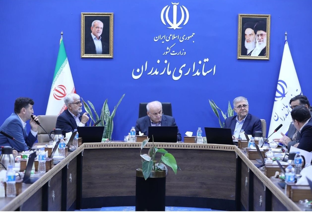 برنج مازندران در مسیر برند ملی؛ هزار میلیارد تومان تسهیلات برای شالی‌کوبی‌ داران