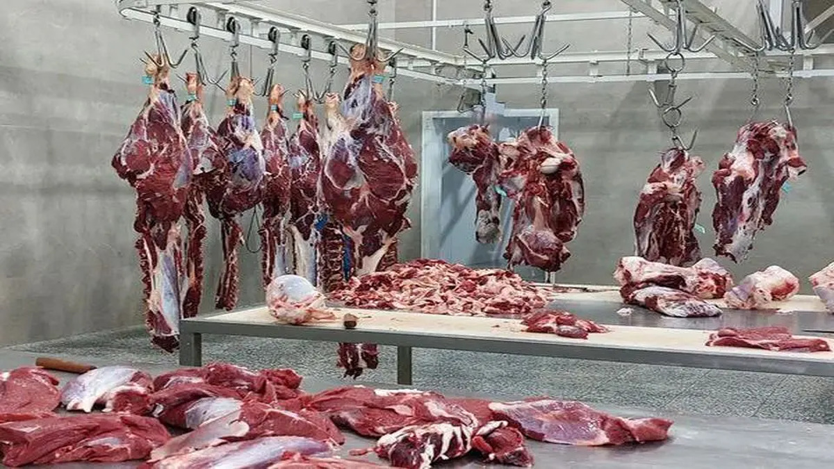 حمایت از بخش خصوصی کلید تعادل بازار گوشت است