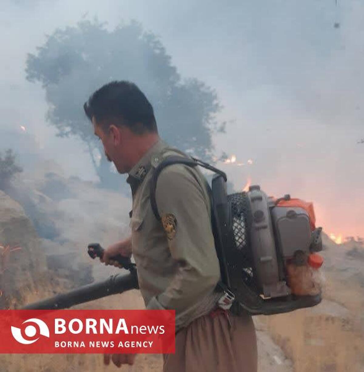 ۹ ساعت نفس‌گیر برای نجات بیستون/ همت محیطبانان و مردم، آتش را مهار کرد