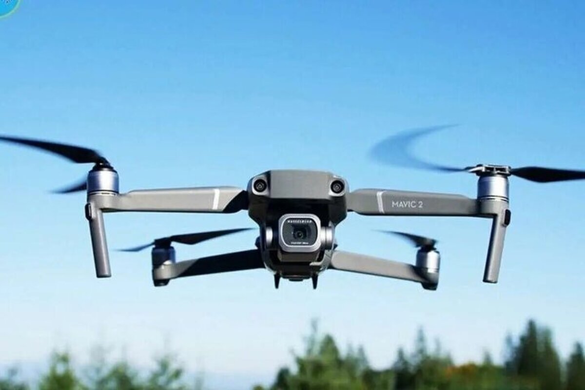 کشف بیش از ۷۰۰ دستگاه ریز پرنده قاچاق در هرمزگان