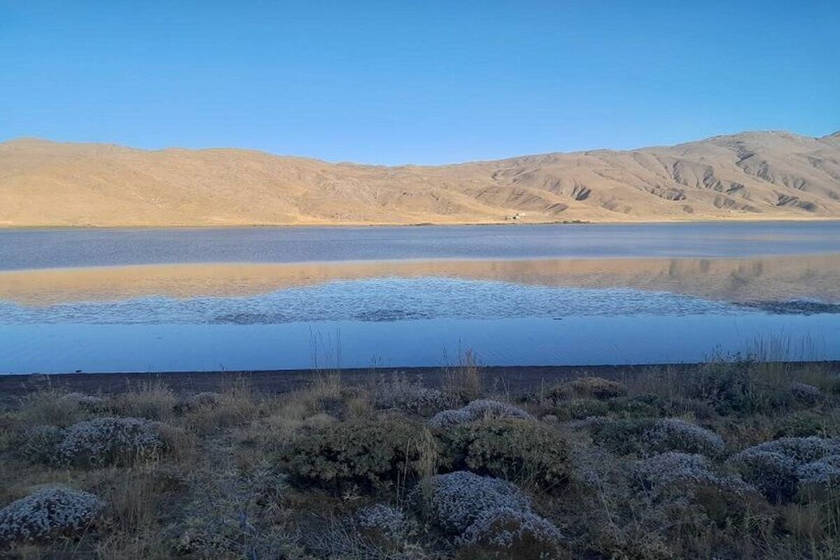 پایداری نسبی تالاب نئور پس از اجرای طرح‌های احیا