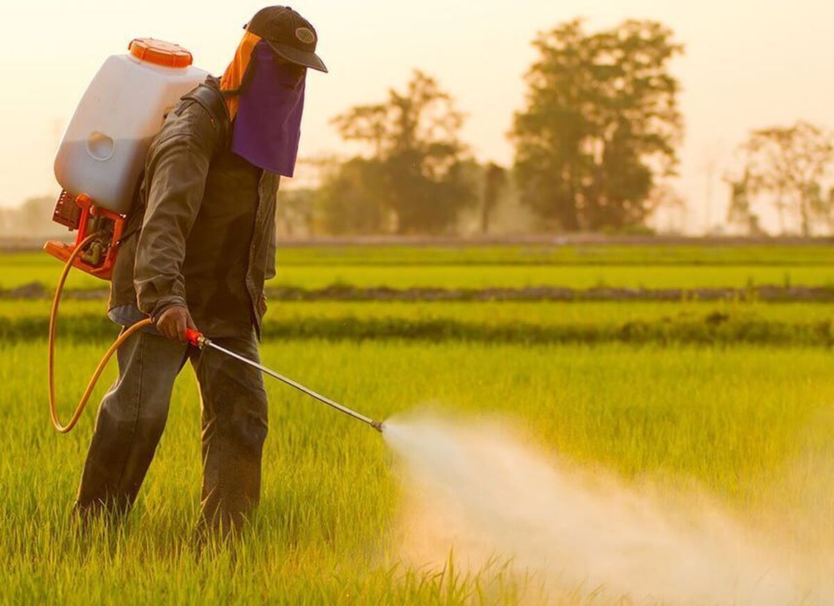 مانور سراسری نظارت بر آفت‌کش‌ها آغاز شد