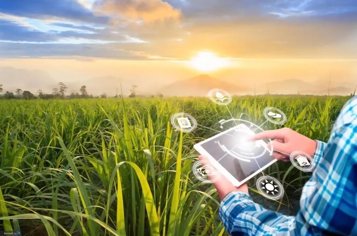 همکاری سه‌جانبه برای توسعه زیست‌بوم بیوتکنولوژی کشاورزی