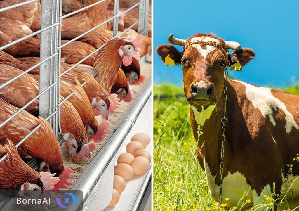 حمایت معنوی کلید شکوفایی صنعت است نه تسهیلات میلیاردی/ تولید ۱۰ محصول فناور دام و طیور در شرق کشور