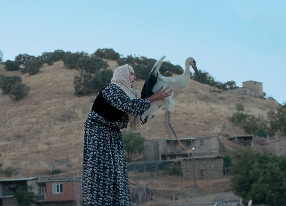 «بال‌های آوازخوان» راهی دو جشنواره جهانی می‌شود