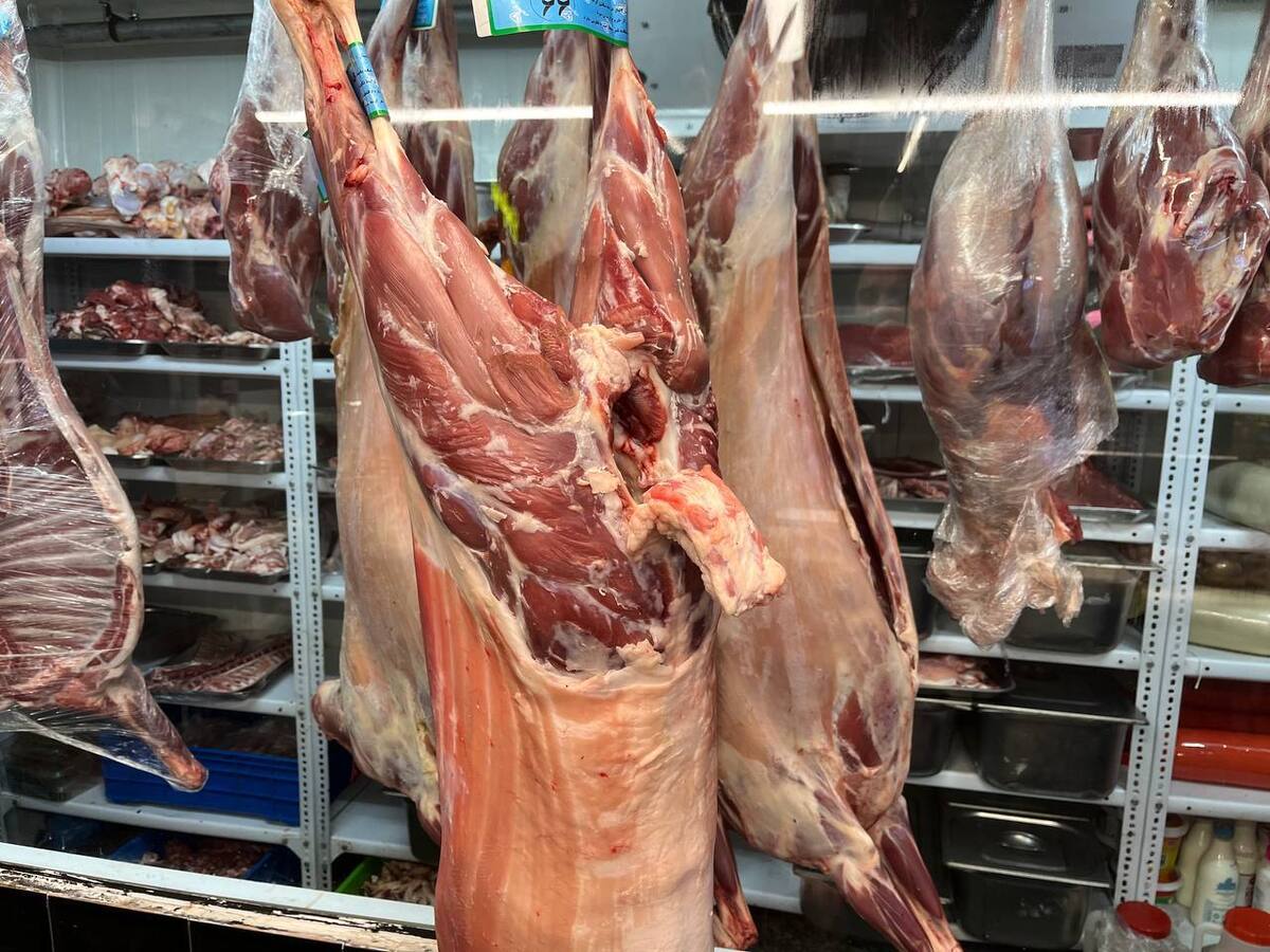 هزینه های سربار عامل افزایش قیمت گوشت گوسفندی