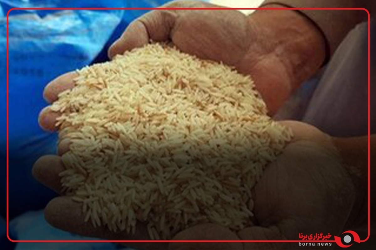 پیش‌بینی تولید ۲ میلیون تن برنج در سال زراعی جاری