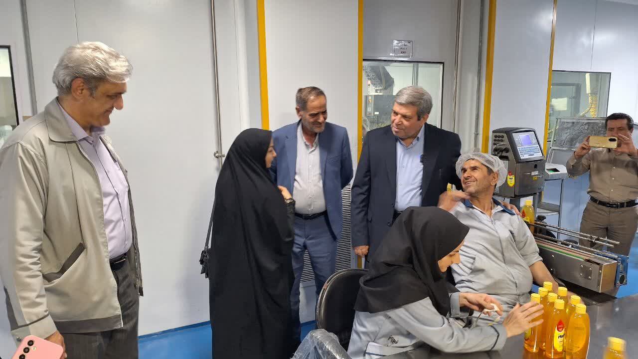 غلامرضایی: ۶۰ درصد نیروهای شرکت فیروز از معلولان معرفی شده توسط بهزیستی تامین شده است