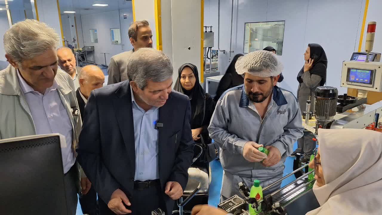 غلامرضایی: ۶۰ درصد نیروهای شرکت فیروز از معلولان معرفی شده توسط بهزیستی تامین شده است