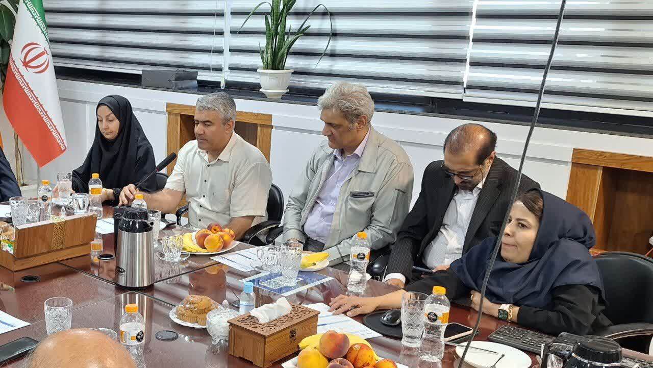 غلامرضایی: ۶۰ درصد نیروهای شرکت فیروز از معلولان معرفی شده توسط بهزیستی تامین شده است