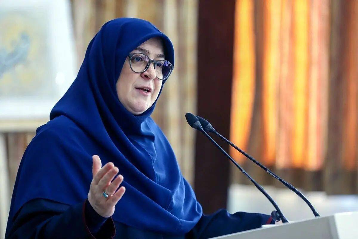 مهاجرانی: موقعیت نه جنگ نه صلح، سرمایه‌گذاران را به نقطه استیصال می‌رساند تا سرمایه خود را از کشور خارج کنند