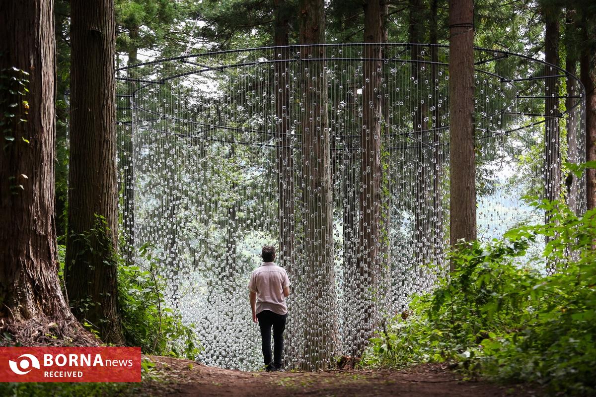 ۱۴۰۰۰ عدسی عینک در دل جنگل؛ وقتی هنر و طبیعت با هم نجوا می‌کنند